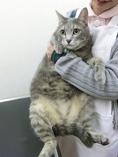 ツブ2
