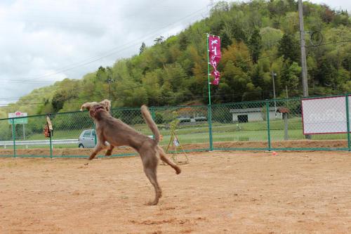IMG_0884_convert_20120507213837.jpg