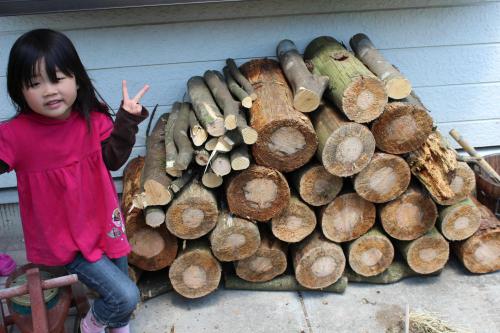IMG_0978_convert_20120520205758.jpg
