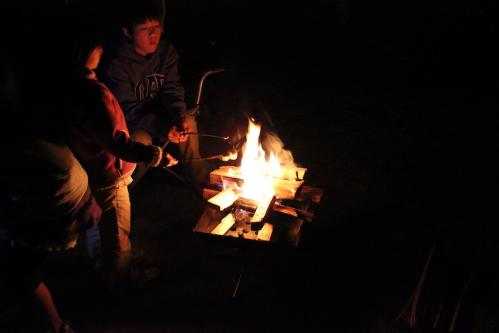 IMG_2769.jpg