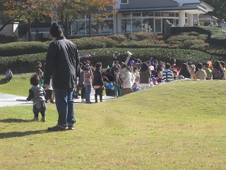 IMG_0498_20121104180710.jpg