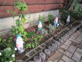 IMG_0590_20120922201911.jpg