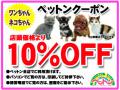 coupon.jpg