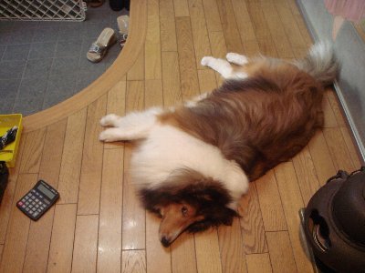 DSCaskfhald01326.jpg