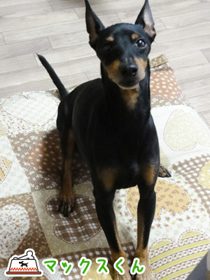 20120601_1.jpg