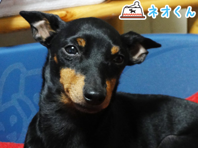 20120601_2.jpg