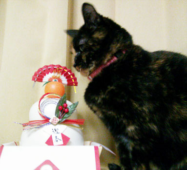 20121230_1.jpg