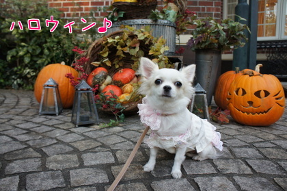 2014-10-20-2.jpg