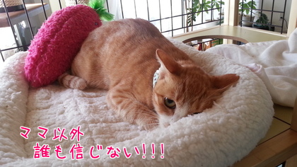 2014-11-13-3.jpg