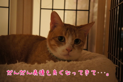 2014-11-13-4.jpg