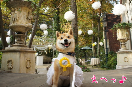 2014-11-14-2.jpg