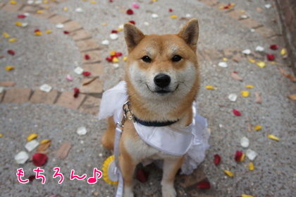 2014-11-14-6.jpg
