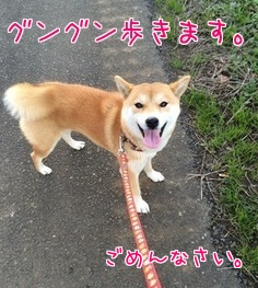 2014-12-9-2.jpg