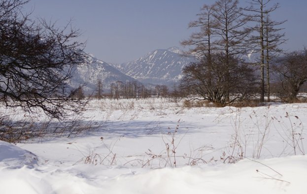 okn58_201402082003356b2.jpg
