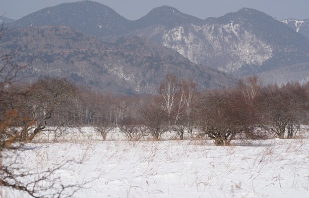 okn60_2014020820033427e.jpg