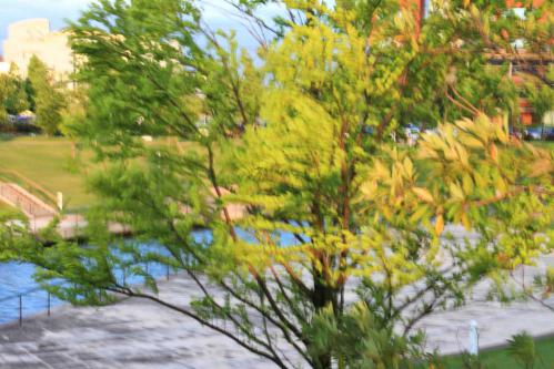 re120620環水公園_76