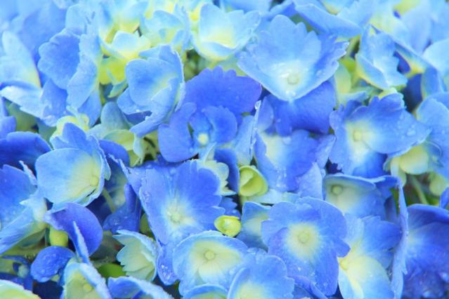 re120701頼成の森_1_convert_20120701220613