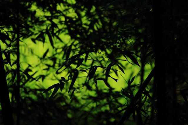 res120702太閤山の裏_22