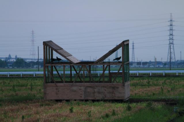 re120720_朝16
