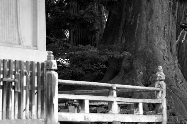 60D201208160786 城端r