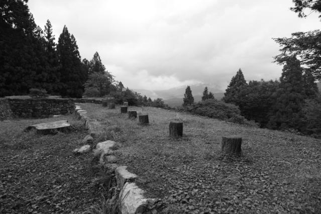 60D201208130451 巌立r