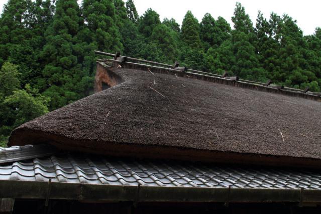 60D201208140551 巌立r