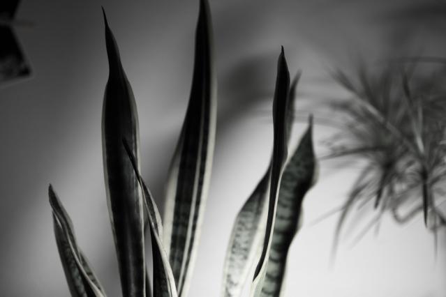 5d1211260485r