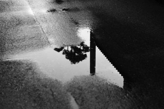5D1211100557r.jpg