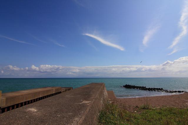60D201209272652r.jpg