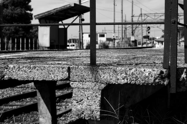 7D201209221896r.jpg
