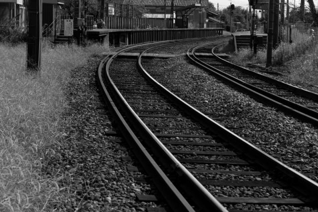 7D201209221904r.jpg