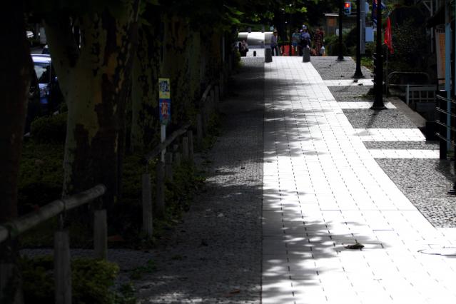 7D201209261955r.jpg