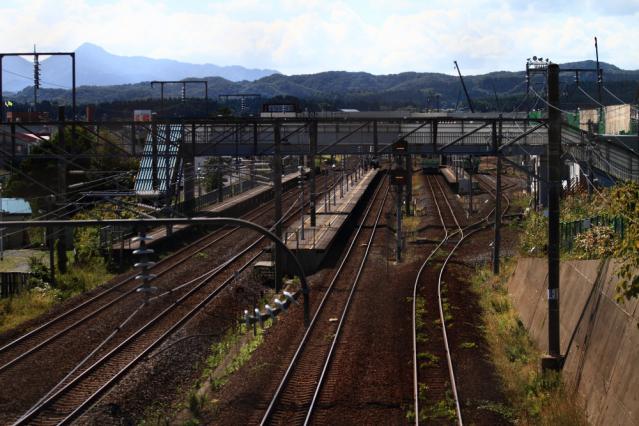 7D201209272082r.jpg
