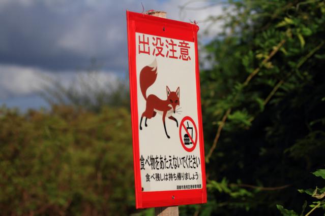 7D201209272205r.jpg