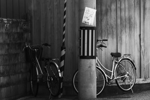 7D201210102915r.jpg