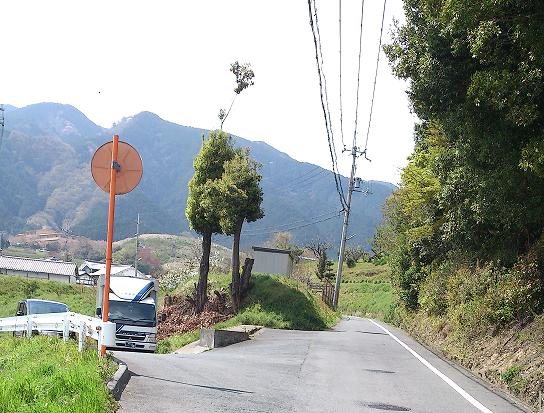 n-5.jpg