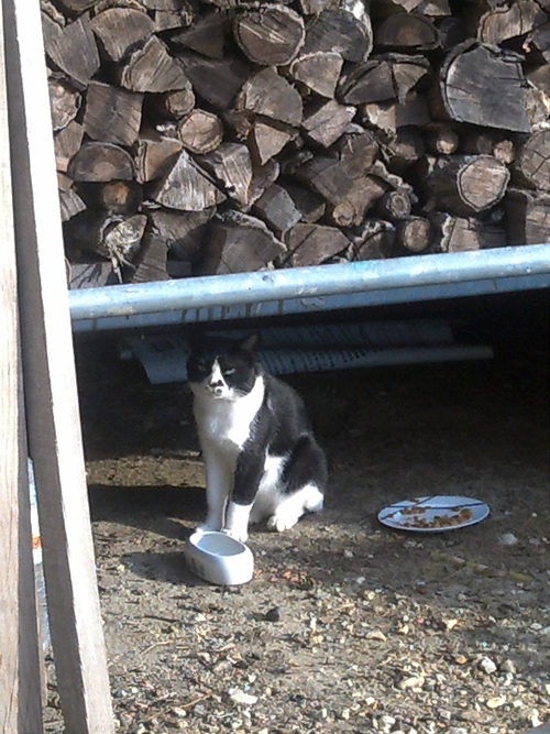 20120930_05.jpg