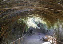 sa.三渓園 007