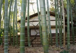 sa.三渓園 009
