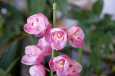 20130224 001