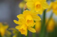 20130224 011