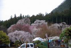 se.青雲寺 001