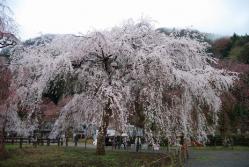 se.青雲寺 002