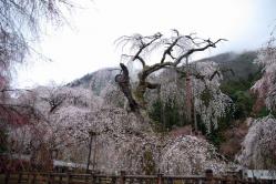 se.青雲寺 004