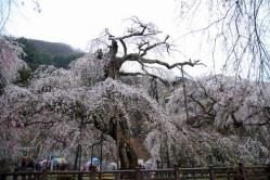 se.青雲寺 005
