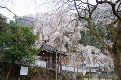 se.青雲寺 006