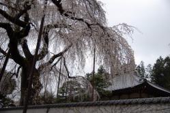 se.青雲寺 007