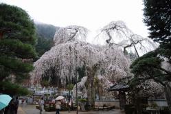 se.青雲寺 009