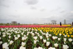 to.農業公園 011