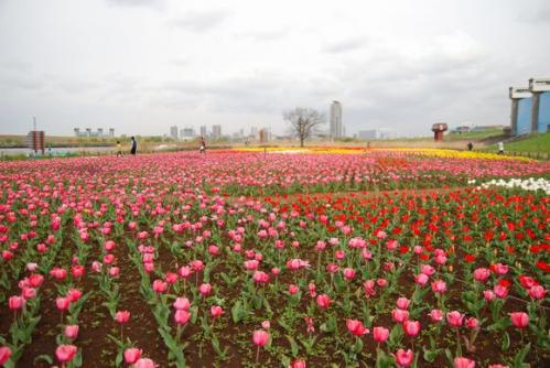 to.農業公園 010